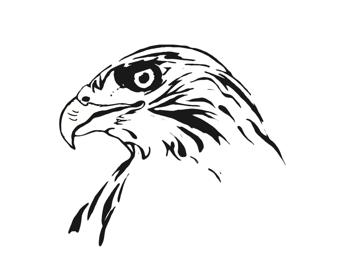 Trail Hawks Logo